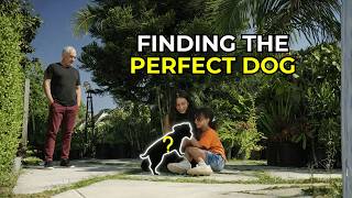 How to Choose the Right Dog and Become the Right Leader | Better Human Better Dog | S04E03
