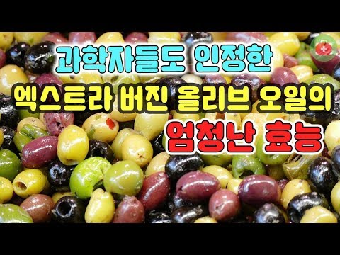 과학자들도 인정한 엑스트라 버진 올리브 오일의 엄청난 효능. 올리브유 활용법 | SHARE 건강정보