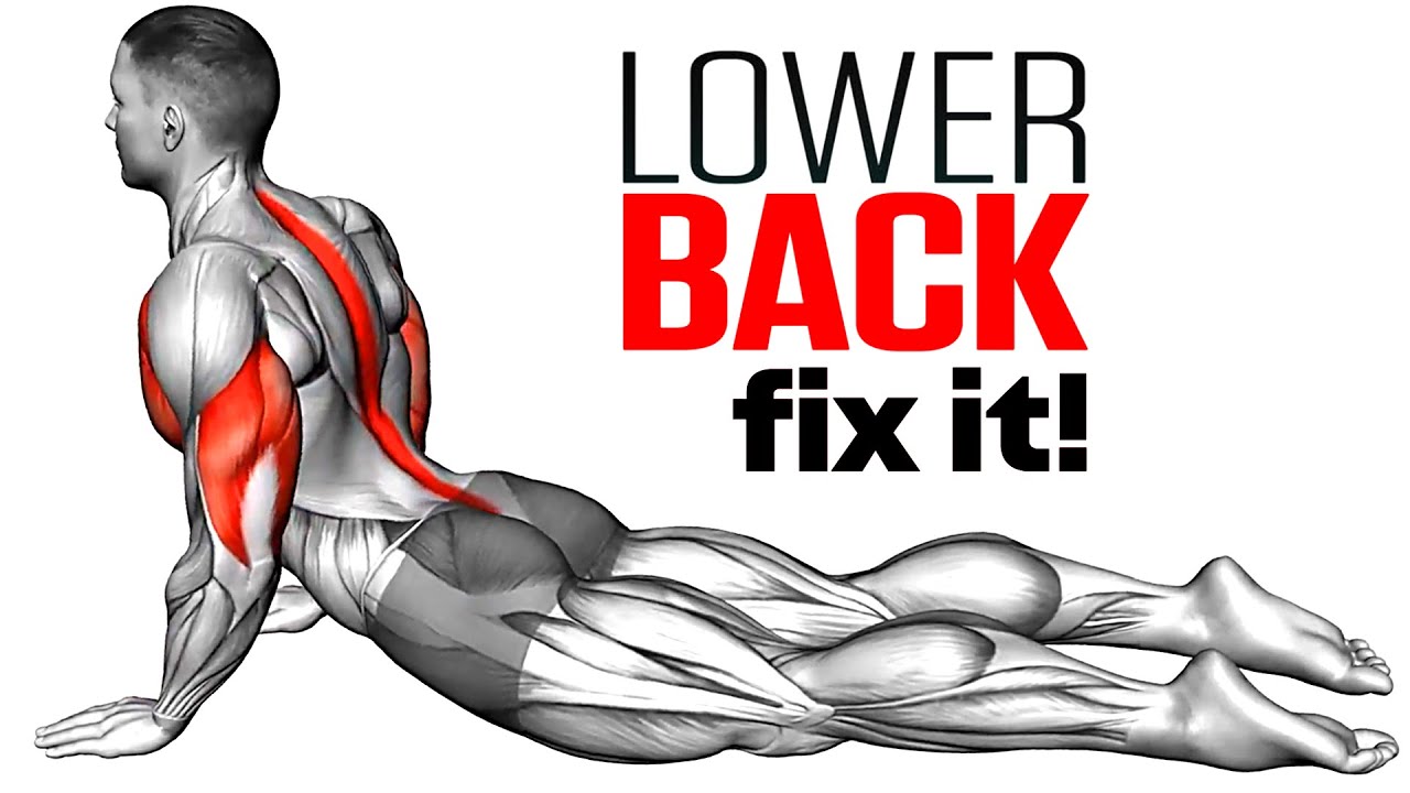 Reduced lower. Back Pain exercise. Stretches to reduce lower back Pain pdf.