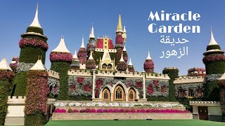 تعو معنا جولة بأجمل حدائق العالم ، حديقة الزهور في دبي  Miracle Garden tour