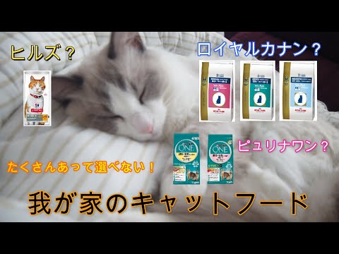 我が家のキャットフードはこれ！色々試してこれに辿り着きました