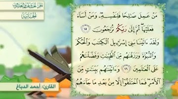 آية١٧سورة الجاثية مكرر القارئ أحمد الدباغ