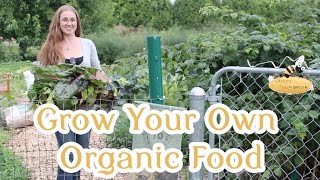 How to Grow Your Own Organic Food