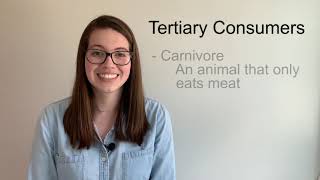 Tertiary Consumers - Food Chain