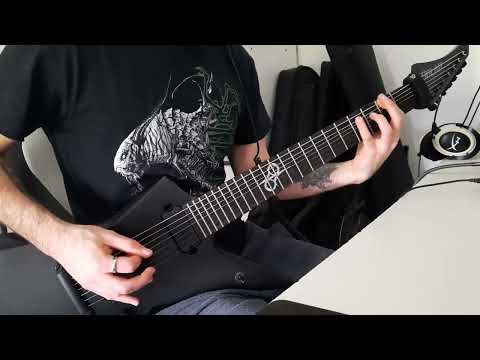 ABORTED - COLD LOGISTIC SLAUGHTER GUITAR COVER