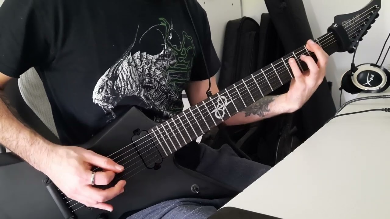 ABORTED - COLD LOGISTIC SLAUGHTER GUITAR COVER