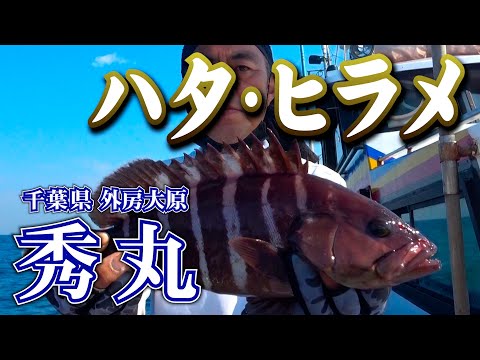 秀丸・千葉県大原港・ハタ＆ヒラメ【釣りビジョン マガジン】