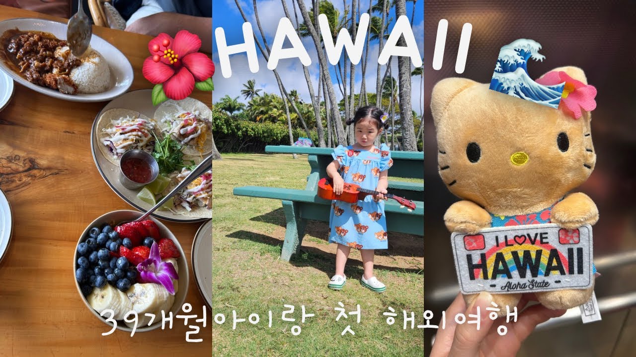하와이 브이로그 2탄 | 4살 아이랑 첫 해외여행 | 거북이 스노쿨링 | 하와이 맛집 | 쿠알로아랜치 | 하와이 스냅사진 