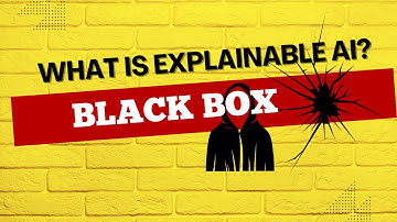 The AI Black Box Problem | Explainable AI Explained
