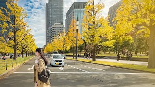 【東京銀杏一日遊】6個推薦銀杏景點💛東京大學、東京車站行幸通、明治神宮外苑、銀杏岡八幡神社、飛木稻荷神社、國營昭和紀念公園夜間點燈｜東京自由行｜實彩子Misako’s Vlog