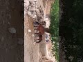 روستای زیبا ما Village Rurallife روستای زیبا ما Village Rurallife