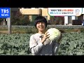 野菜ソムリエくん 野菜は捨てない！【Nスタ】