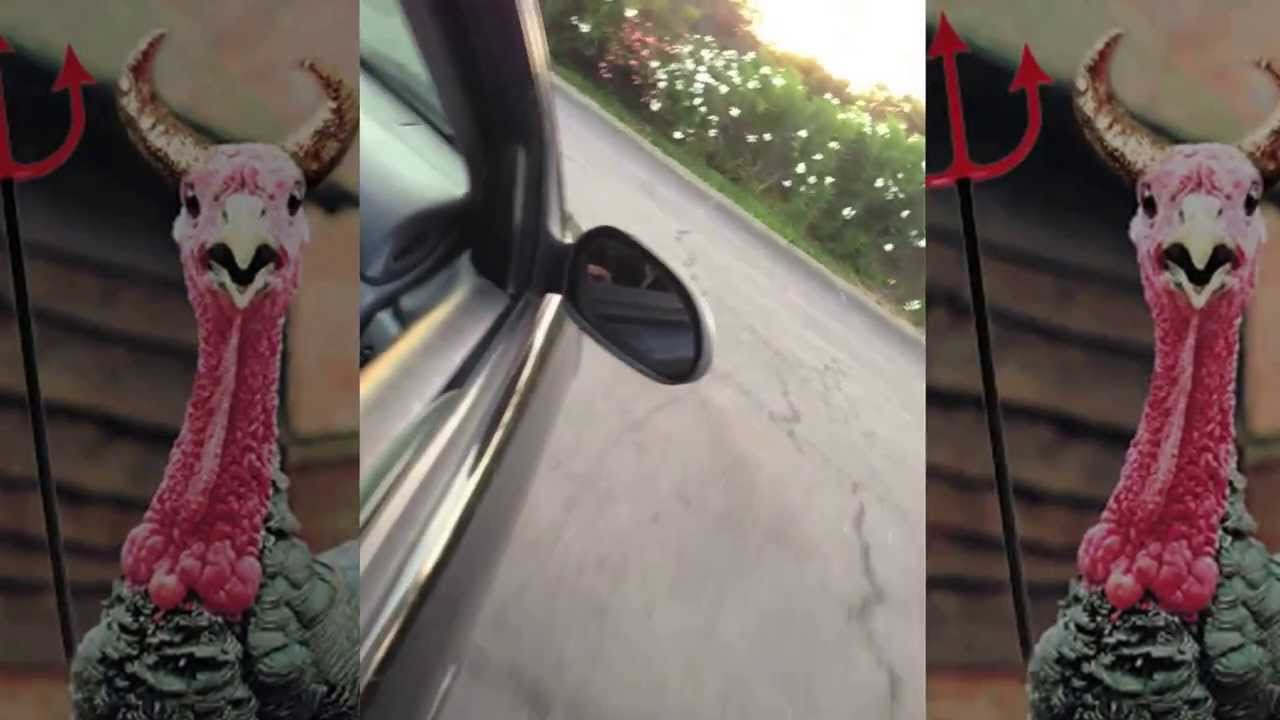 Gangster Turkey YouTube