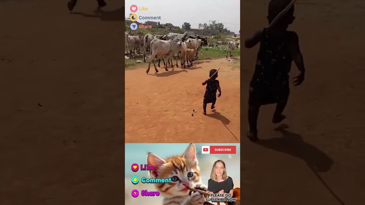 4 years Kid control a group of Crows RATS TESTING CAT PATIENCE 🤣🤣🤣