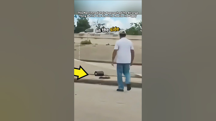 This Man Immediately Came Out Of The Car To Saved The Poor Puppy #trending #short #viralvideo
