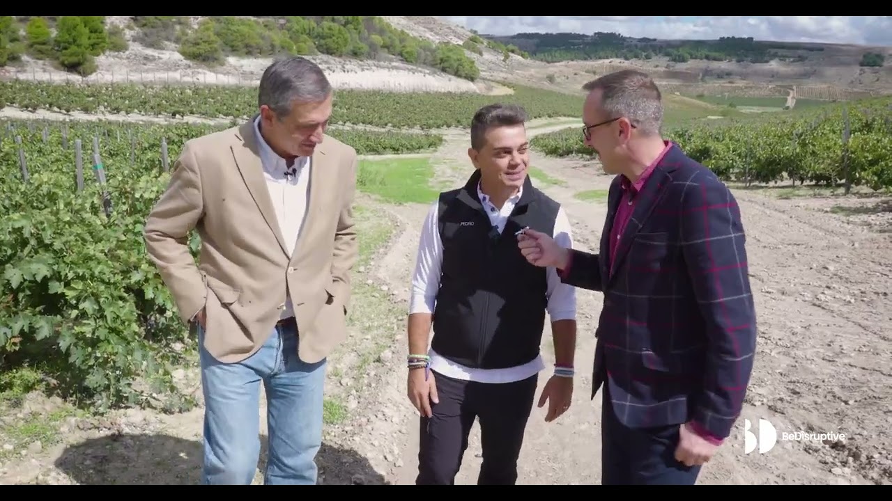 Alma Carraovejas, en el corazón de la Ribera del Duero