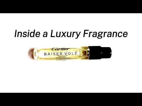 What’s Really in Luxury Perfume? A Chemist Analyzes Cartier Baiser Volé
