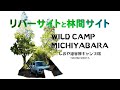 林間サイトとリバーサイト！WILD CAMP MICHIYABARA しおや道谷原キャンプ場