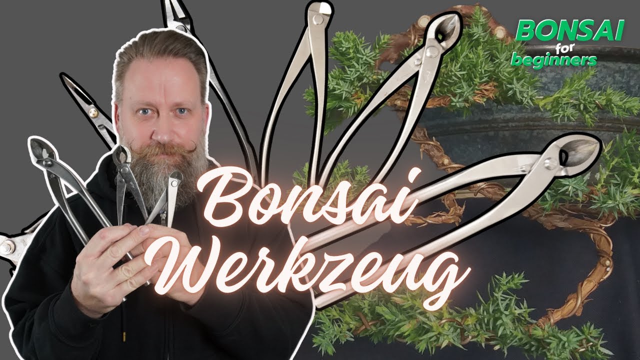 Bonsai - Werkzeug | die wichtigsten Werkzeuge die Du benötigst