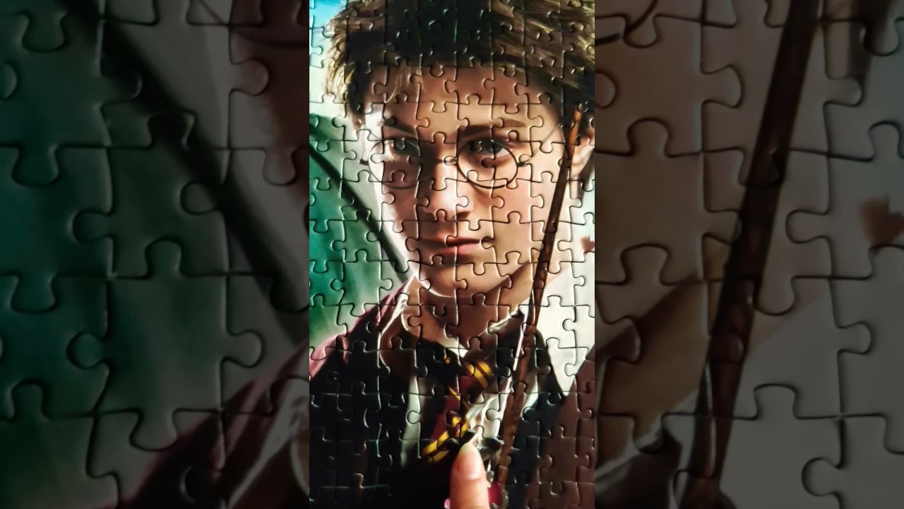 Harry Potter VS Lord Voldemort Jigsaw Puzzle The Last Piece