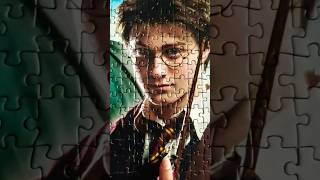 Harry Potter VS Lord Voldemort Jigsaw Puzzle The Last Piece