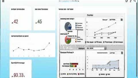 SAP Business One - Service Management
