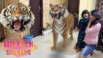 Step into the Wild: Experience Google