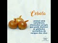 @ A magia da vovó. Cebola