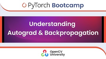 Pytorch Bootcamp for Beginners - 2 | Autograd and Backpropagation in Neural Networks
