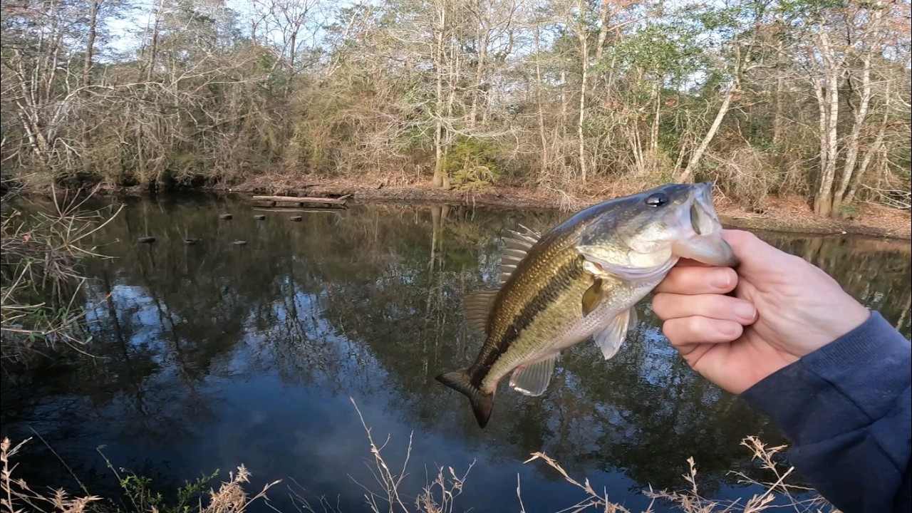 Early spring creek fishing