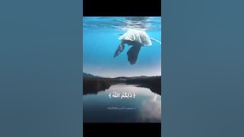 تلاوه خاشعه (ذلكم الله ربكم) للشيخ ياسر الدوسري