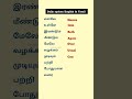 preposition words in Tamil #shorts #shortsfeed #youtubeshorts #spokenenglish #trending #viralshorts