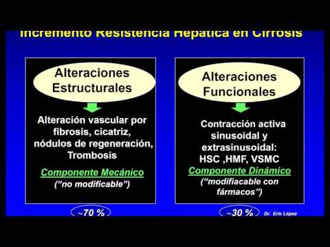 Dr Eric López Méndez Información al Paciente Fisiopatología de la Hipertensión Portal