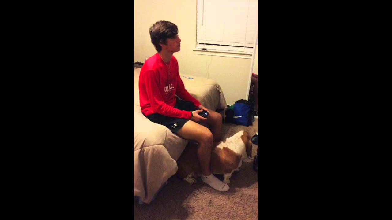 Animal cruelty satire project YouTube