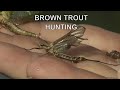 Small River Brown Trout Hunting | Tom Rosenbauer