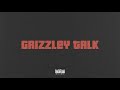 Tee Grizzley - Grizzley Talk [Official Audio]