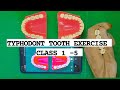 Typhodont tooth exercise | Class 1 -5 | BDS 2nd year