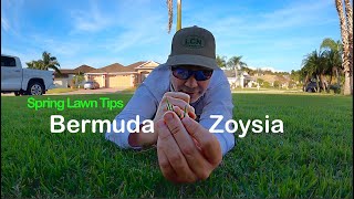 2020 Spring Lawn Tips: WARM SEASON // Bermuda and Zoysia Grass : Alpha Grass Mayhem screenshot 4