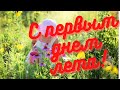 С первым днем лета! Музыкальная открытка