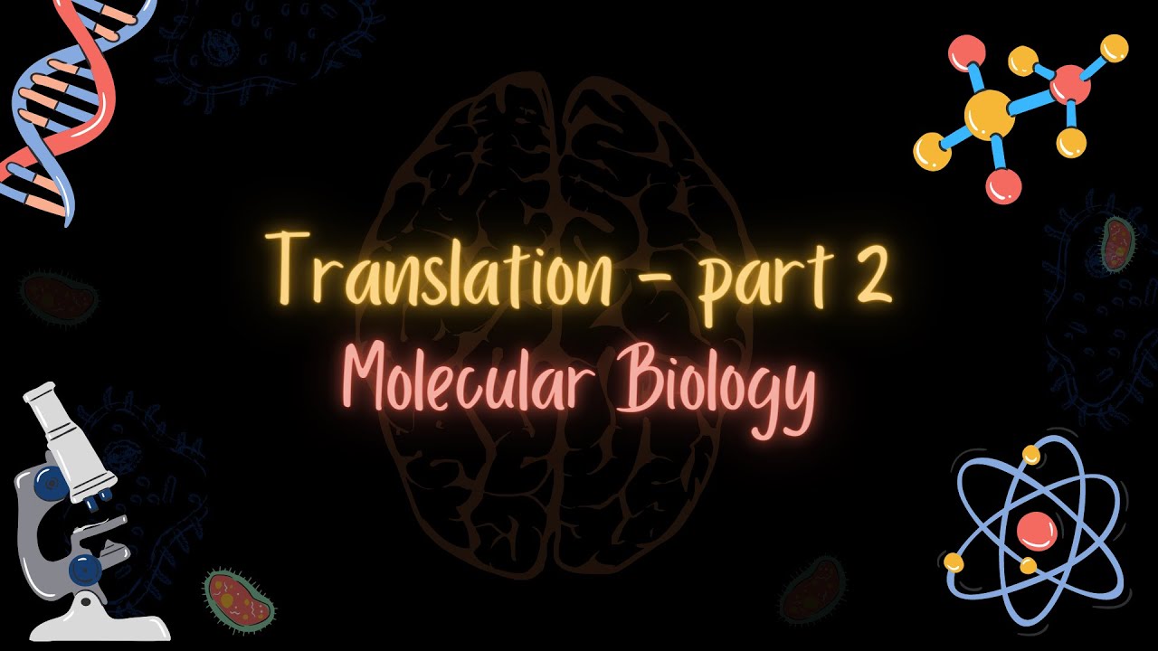 Translation PART 2 - الترجمة الجزء الثاني - MOLECULAR BIOLOGY - تعلم بالعربي