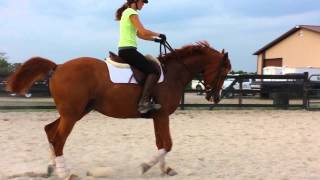 Rio ~ flatwork