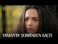 Nedim Nana Yı Yaman Dan Kaçırdı Emanet 477 Bölüm 