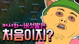 티모 : 빠른쿨감40프로 버섯도배 보여드리겠습니다.