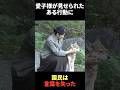 愛犬・由莉が最期を迎えた翌日、愛子様が見せられたある行動に国民は言葉を失った#海外の反応 #雑学 #天皇陛下 #愛子様 #皇室 #雅子様