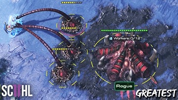 Greatest Proxy Hatcheries of All Time - Episode 3