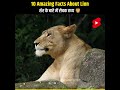 Top 10 Amazing Facts About Lion | Animal Facts in Hindi #lion #wildanimals #animalfacts #shorts