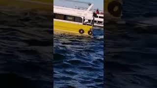 Şimdi İstanbulda Olmak Vardı Anasını Satayım