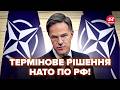 ⚡️ЕКСТРЕНО! Дрони Путіна ПІДНЯЛИ ВСІХ. Генсек НАТО увірвався з ДИКОЮ ЗАЯВОЮ. Всі АЖ ЗАТИХЛИ. ГЕТЬМАН