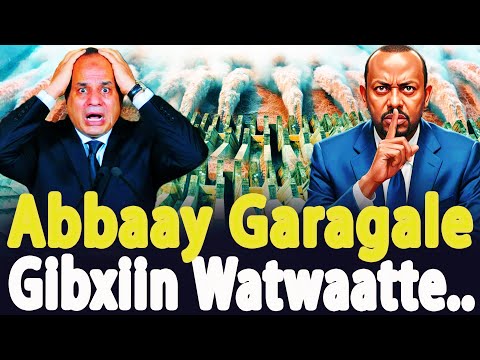 Abbaay Gibxiirra Lola E Alsiisiin Watwaate Hidha Abbaay Natti Gadhiifte Jedhan CHRISTIAN MEDIA