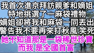 我首次進京拜訪親爹和嫡姐特地挑選了一麻袋禮物嫡姐卻將我和麻袋一同丟出警告我不要再來打秋風笑死她不知道那是一袋稀世珍寶而我 是全國首富 【美好人生】